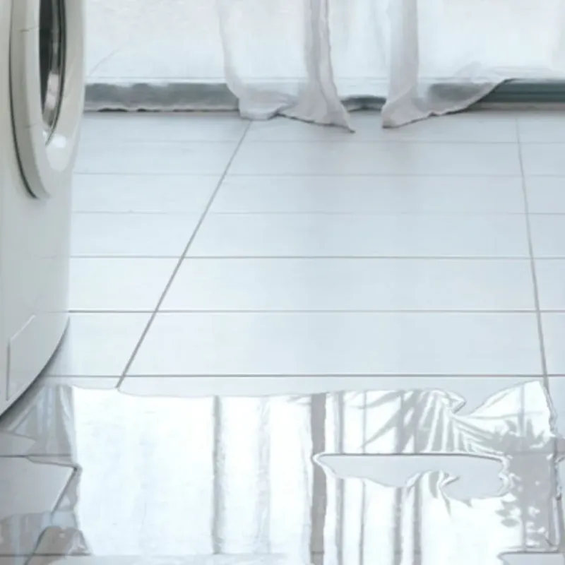 Appliance Leak Cleanup in Collinsville, AL