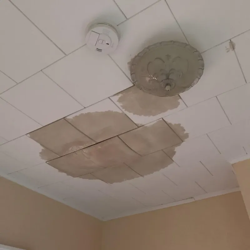 Ceiling Water Damage Repair in Collinsville, AL