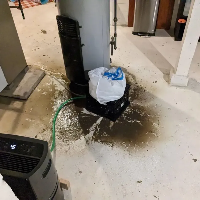 Sewage Backup Cleanup Service in Collinsville, AL